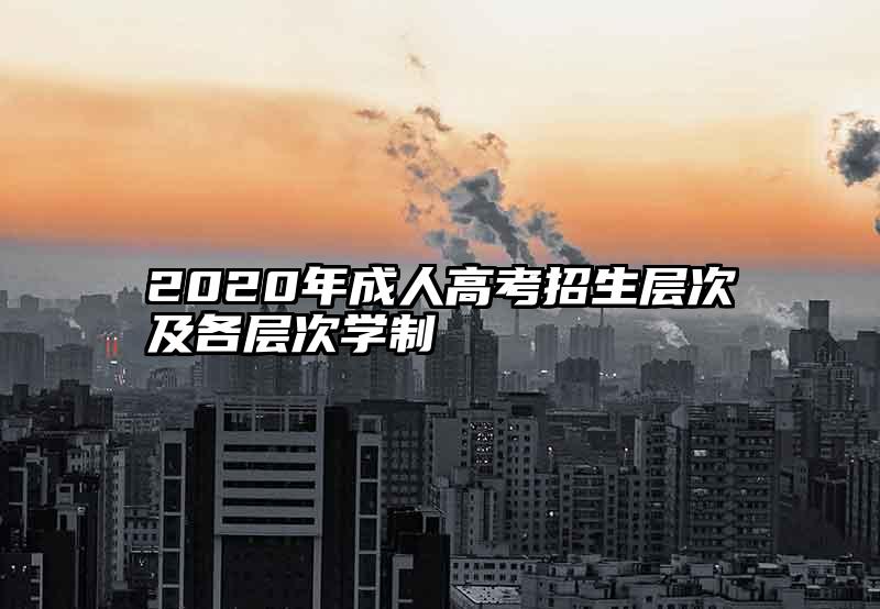 2020年成人高考招生层次及各层次学制