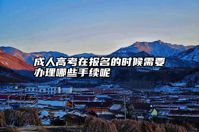 成人高考在报名的时候需要办理哪些手续呢