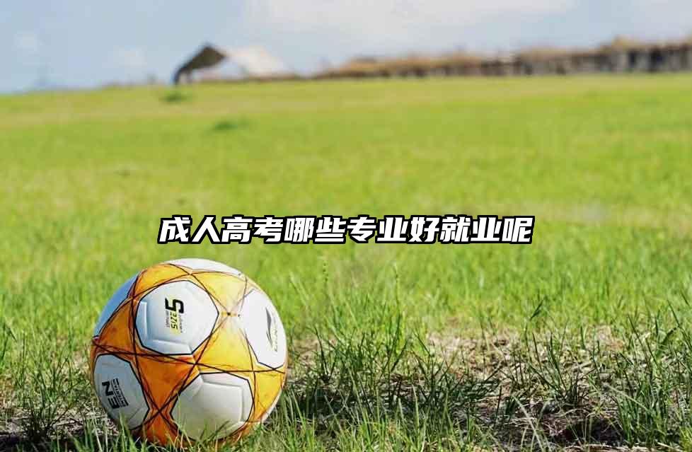 成人高考哪些专业好就业呢