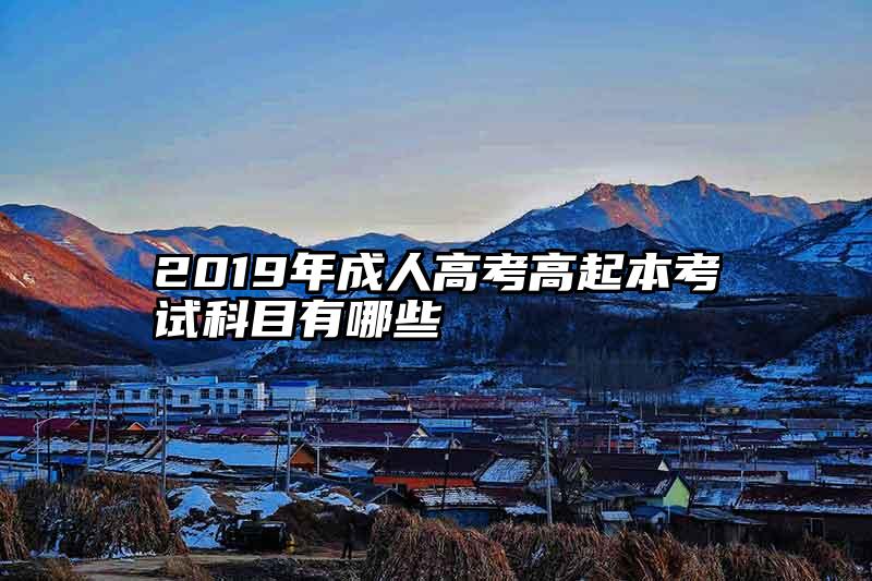 2019年成人高考高起本考试科目有哪些