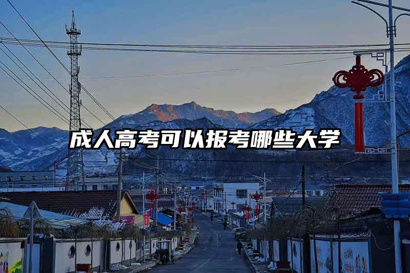 成人高考可以报考哪些大学