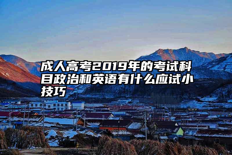 成人高考2019年的考试科目政治和英语有什么应试小技巧