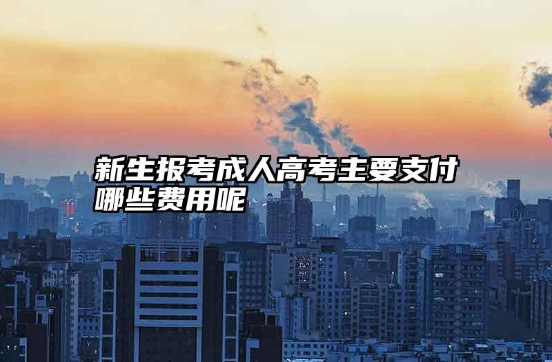新生报考成人高考主要支付哪些费用呢