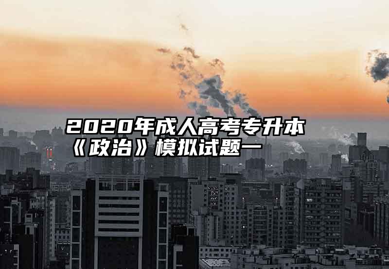 2020年成人高考专升本《政治》模拟试题一