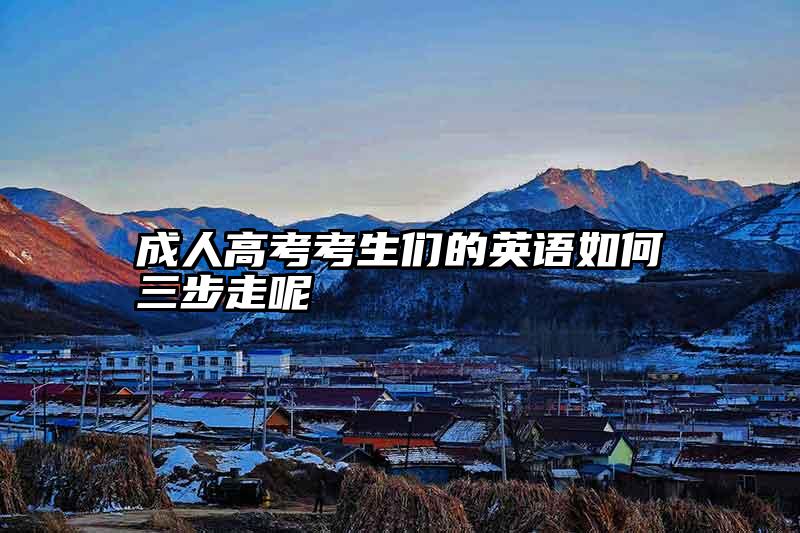 成人高考考生们的英语如何三步走呢