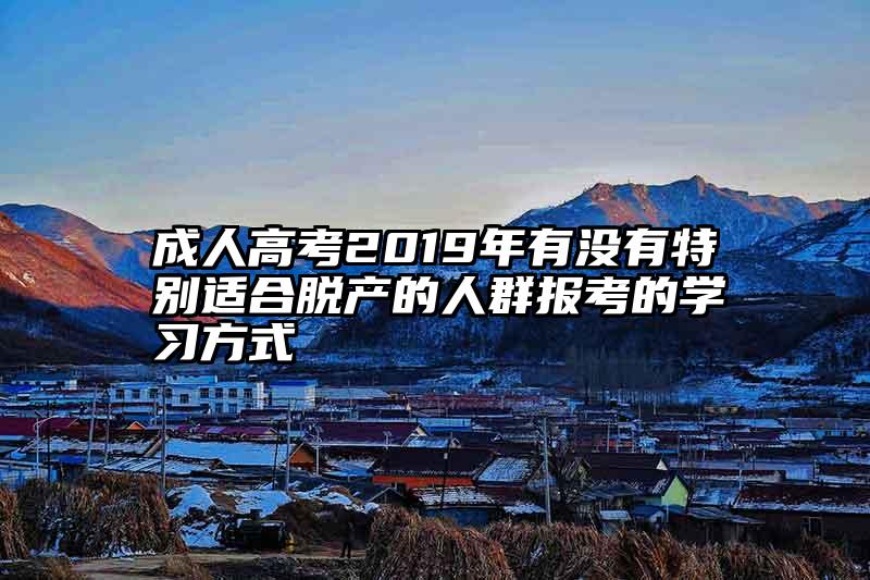 成人高考2019年有没有特别适合脱产的人群报考的学习方式