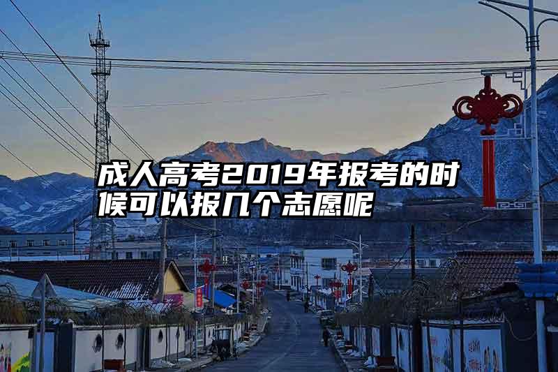 成人高考2019年报考的时候可以报几个志愿呢
