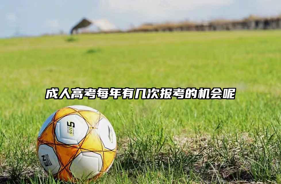 成人高考每年有几次报考的机会呢