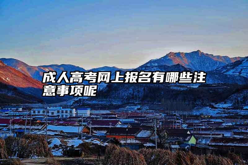 成人高考网上报名有哪些注意事项呢
