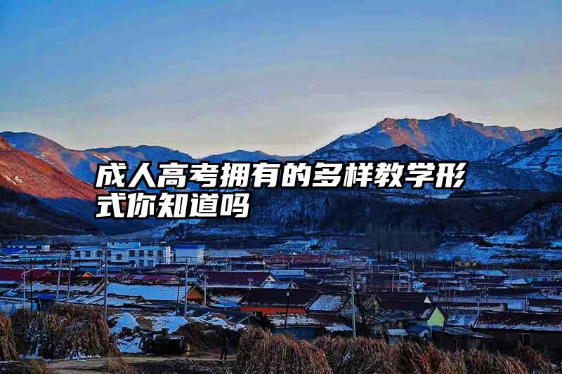 成人高考拥有的多样教学形式你知道吗