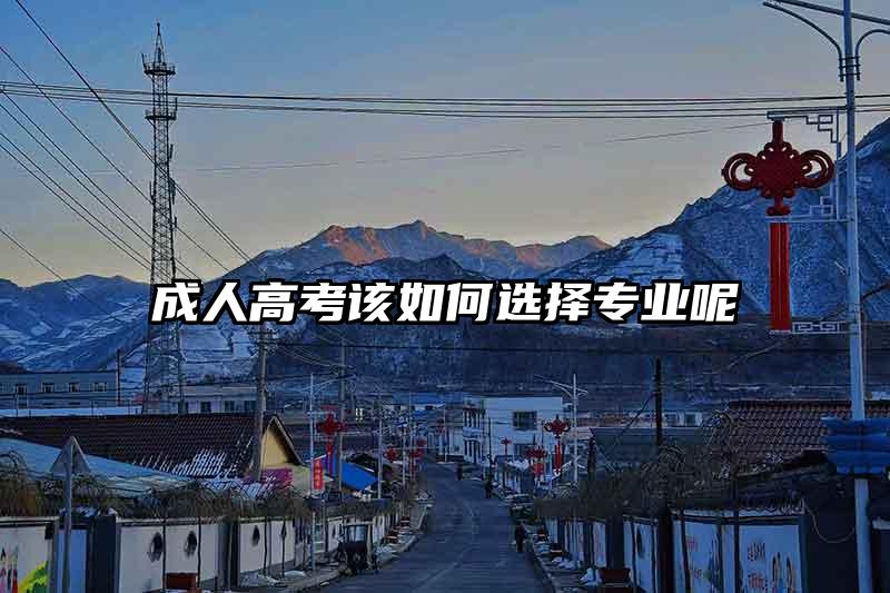 成人高考该如何选择专业呢