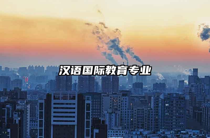 汉语国际教育专业