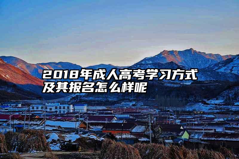 2018年成人高考学习方式及其报名怎么样呢
