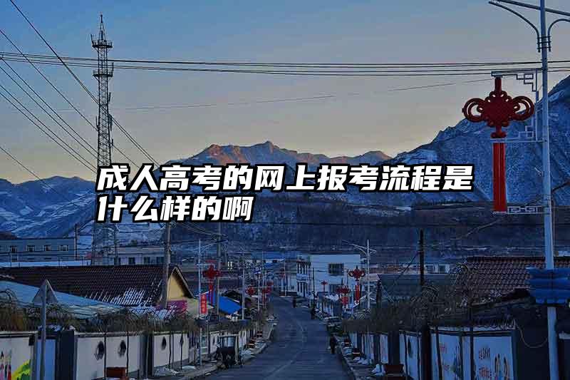 成人高考的网上报考流程是什么样的啊