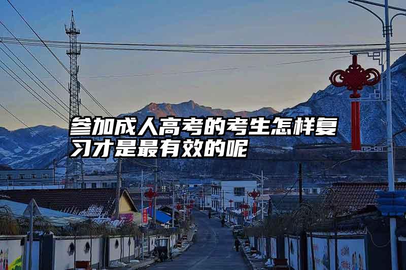 参加成人高考的考生怎样复习才是最有效的呢