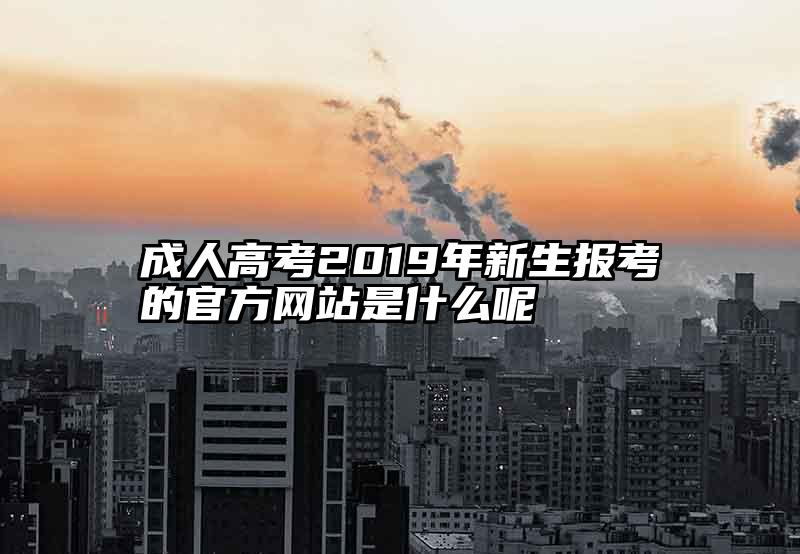 成人高考2019年新生报考的官方网站是什么呢