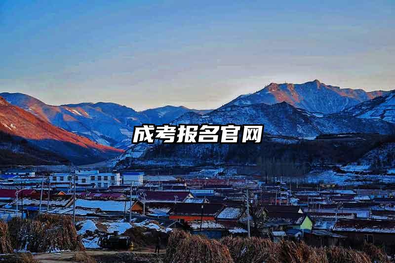 成考报名官网