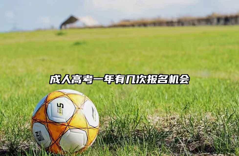 成人高考一年有几次报名机会