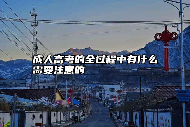成人高考的全过程中有什么需要注意的