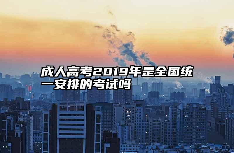 成人高考2019年是全国统一安排的考试吗
