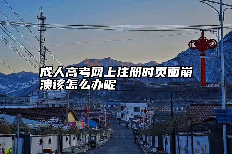成人高考网上注册时页面崩溃该怎么办呢