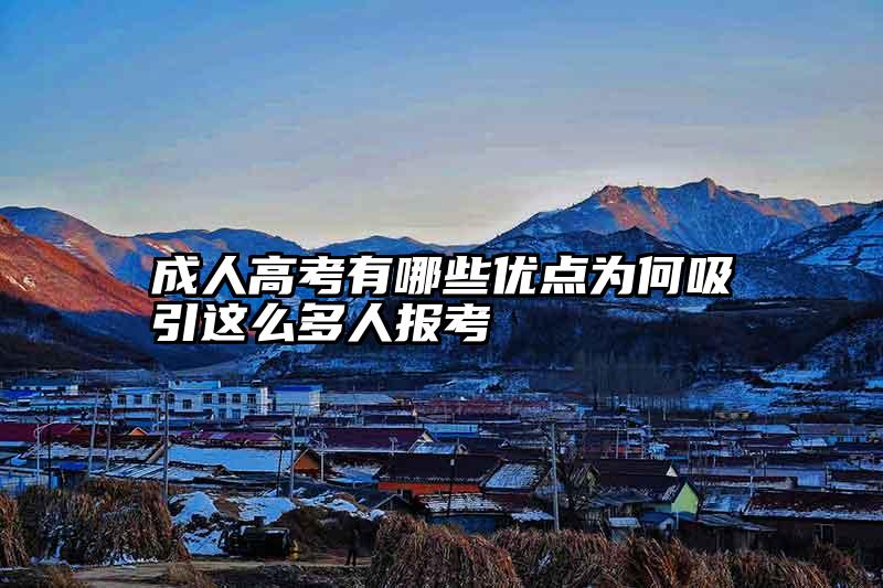 成人高考有哪些优点为何吸引这么多人报考