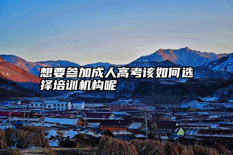 想要参加成人高考该如何选择培训机构呢