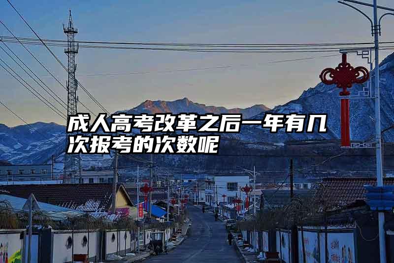 成人高考改革之后一年有几次报考的次数呢