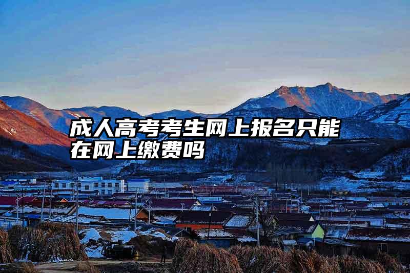 成人高考考生网上报名只能在网上缴费吗