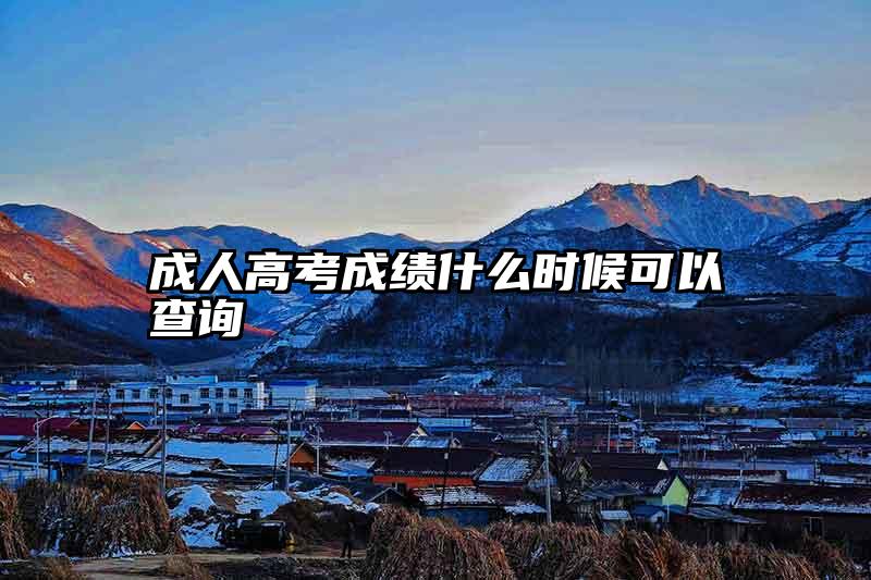 成人高考成绩什么时候可以查询