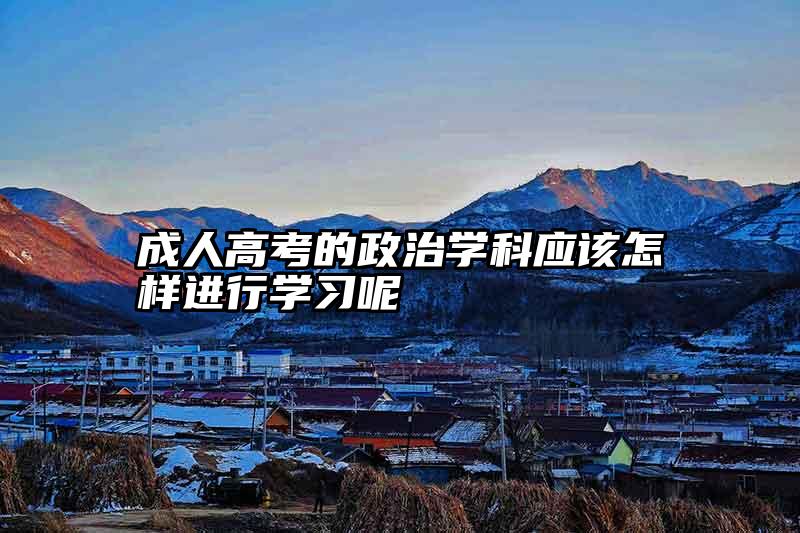 成人高考的政治学科应该怎样进行学习呢