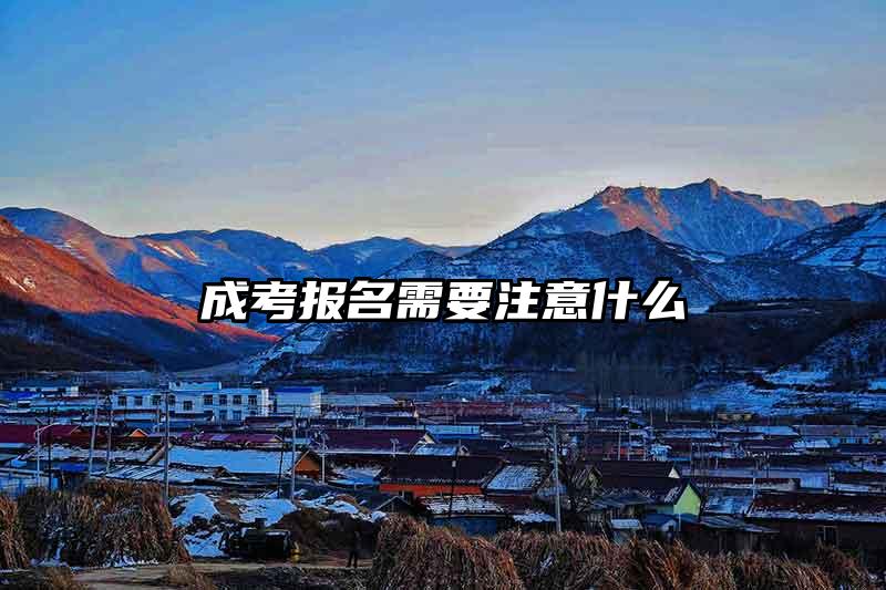 成考报名需要注意什么