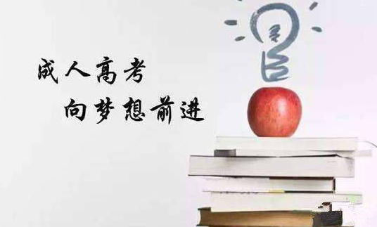 成人高考成绩查询