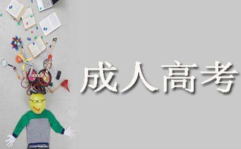 成人高考成绩查询