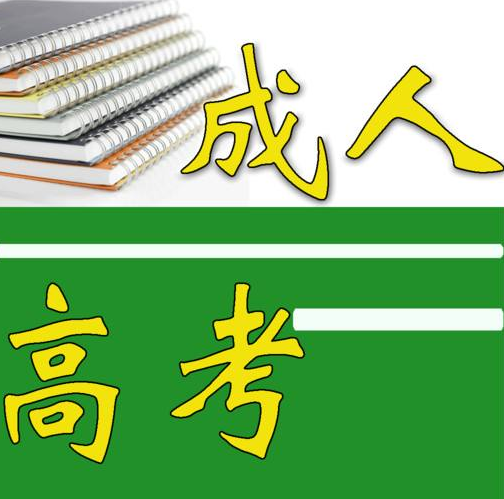 成人高考成绩查询