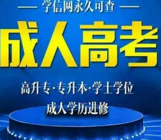 2020年成人高考网上报名方法