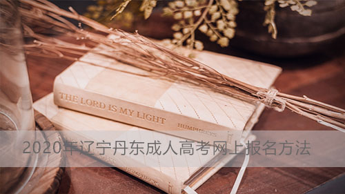 2020年成人高考网上报名方法