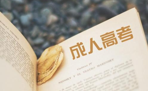 2020成人高考网上报名方法
