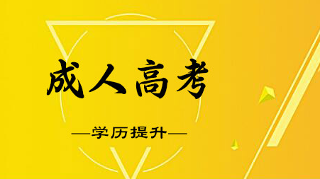2020年成人高考网上报名方法