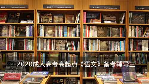 2020成人高考高起点《语文》备考辅导三
