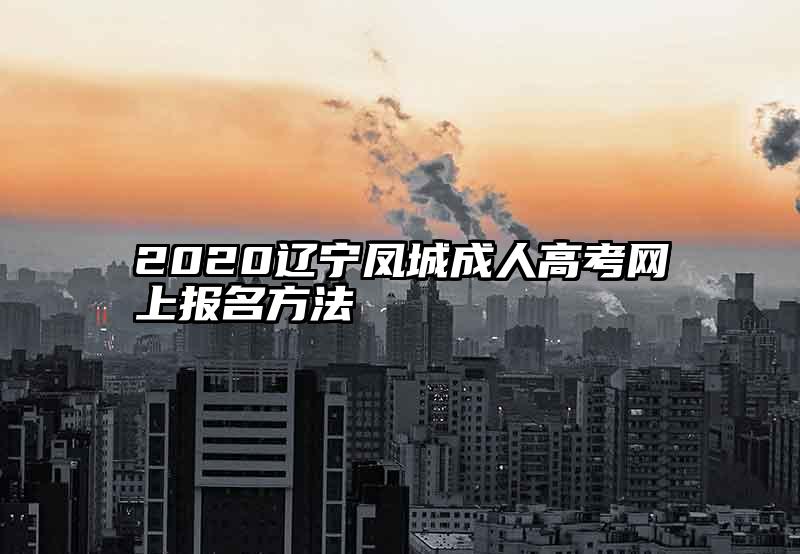 2020辽宁凤城成人高考网上报名方法