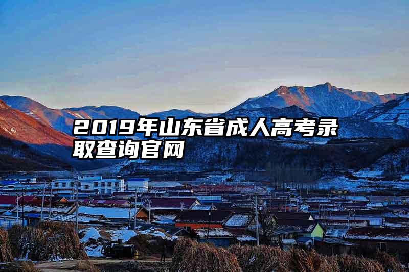 2019年山东省成人高考录取查询官网