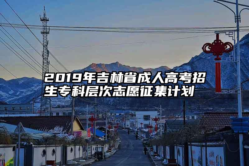 2019年吉林省成人高考招生专科层次志愿征集计划